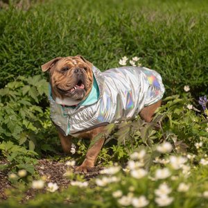 GF Pet Neon Reversible Dog Raincoat, Neon Aqua, XX-Small