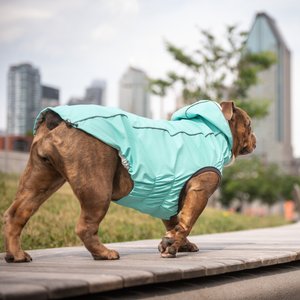 GF Pet Neon Reversible Dog Raincoat, Neon Aqua, XX-Small