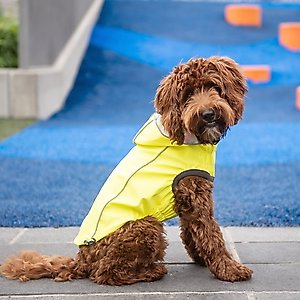 GF Pet Neon Reversible Dog Raincoat, Neon Yellow, XX-Large