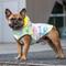 Show in main carousel: GF Pet Neon Reversible Dog Raincoat, Neon Yellow, XX-Small slide 9 of 11