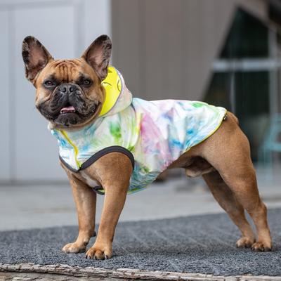 Show full view: GF Pet Neon Reversible Dog Raincoat, Neon Yellow, XXX-Large slide 8 of 10