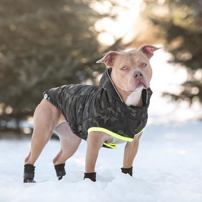 Show full view: GF Pet Recycled Dog Parka, Camouflage, Small slide 9 of 10