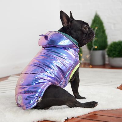 Show full view: GF Pet Recylced Parka Dog Coat, Iridescent, X-Small slide 5 of 7