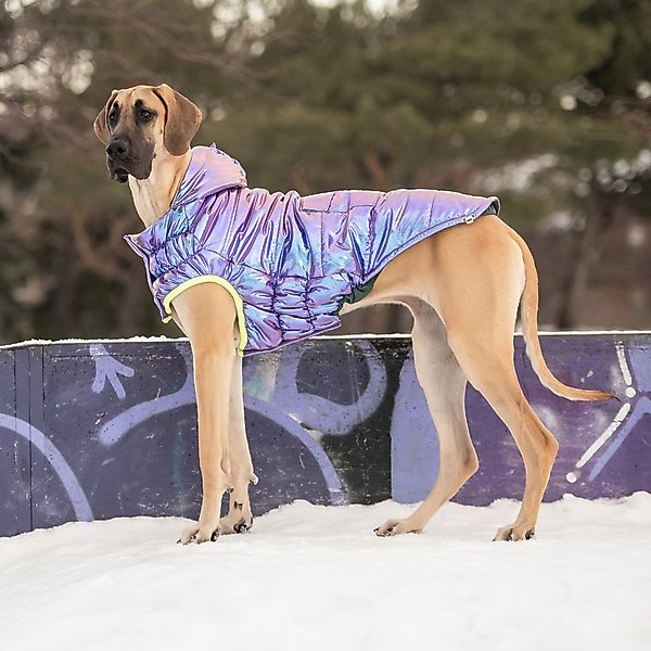 Show full view: GF Pet Recylced Parka Dog Coat, Iridescent, XX-Small slide 6 of 7
