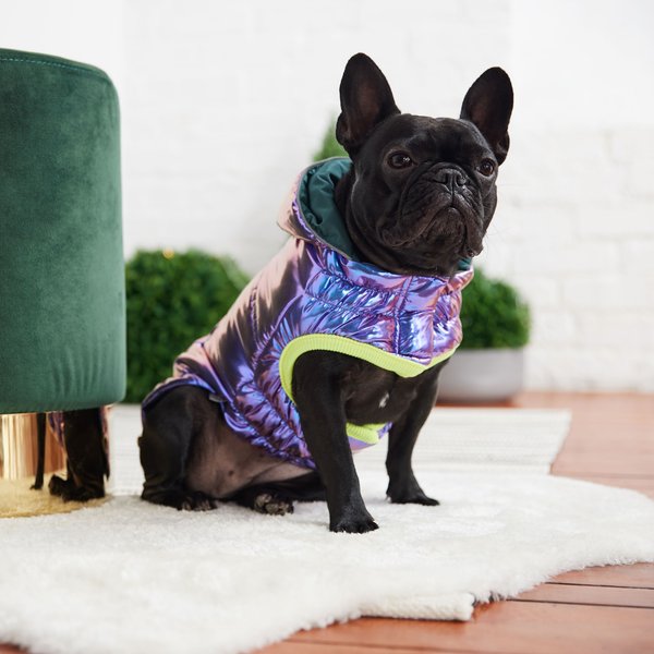 Show full view: GF Pet Recylced Parka Dog Coat, Iridescent, XX-Small slide 4 of 7