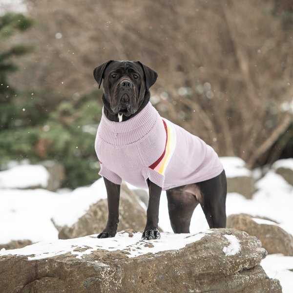 Show full view: GF Pet Retro Turtleneck Dog Sweater, Lavender, XX-Small slide 5 of 7