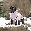 Show in main carousel: GF Pet Retro Turtleneck Dog Sweater, Lavender, XX-Small slide 5 of 7