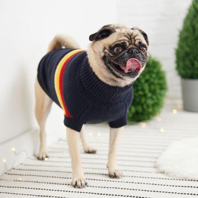 Show full view: GF Pet Retro Turtleneck Dog Sweater, Navy, Large slide 4 of 7