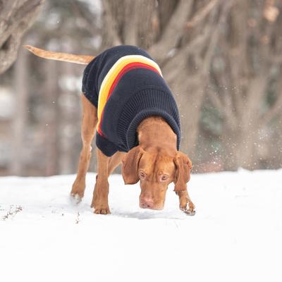 Show full view: GF Pet Retro Turtleneck Dog Sweater, Navy, Large slide 5 of 7