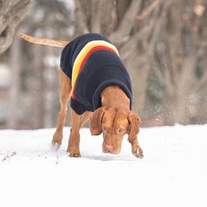 GF Pet Retro Turtleneck Dog Sweater, Navy, Medium 