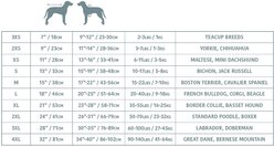 GF Pet Reversible Dog Raincoat, Medium slide 2 of 6