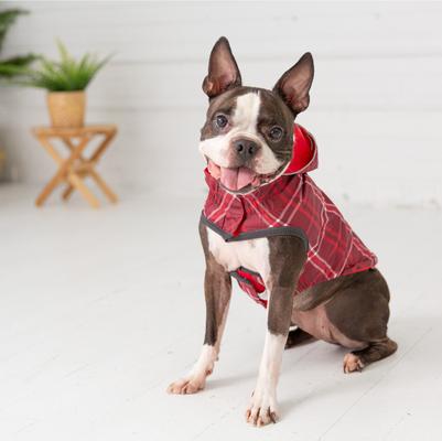 Show full view: GF Pet Reversible Dog Raincoat, XX-Small slide 7 of 9