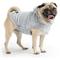 Show in main carousel: GF Pet Urban Hoodie Dog Coat, Heather Grey, Small slide 1 of 5