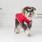 Show in main carousel: GF Pet Urban Parka Dog Coat, Red, Medium slide 4 of 7
