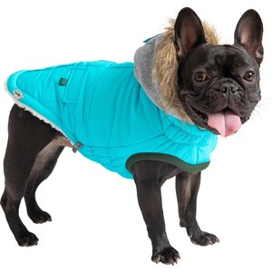 GF Pet Winter Sailor Dog Parka, Aqua, XX-Small