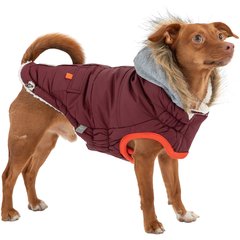 GF Pet Winter Sailor Dog Parka, Burgundy, XX-Small