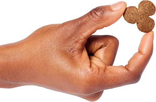 Show full view: Giddyap Girls Biscuit Company Premium Apple Horse Treats, 19.2-oz bag slide 3 of 5