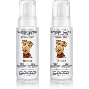 Giovanni Professional Waterless Foaming Oatmeal & Coconut Dog Shampoo, 8-fl oz bottle, case of 2