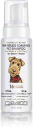 Giovanni Professional Waterless Foaming Oatmeal & Coconut Dog Shampoo, 8-fl oz bottle
