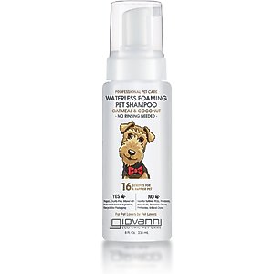 Giovanni Professional Waterless Foaming Oatmeal & Coconut Dog Shampoo, 8-fl oz bottle
