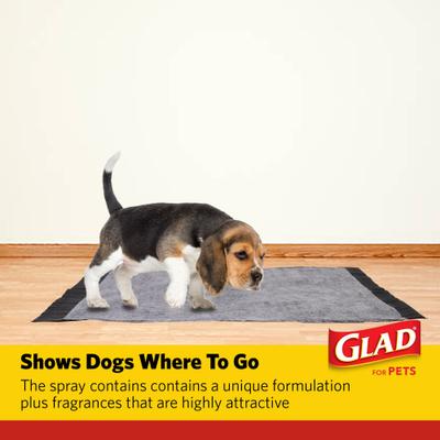 Show full view: Glad for Pets Attractant Training Spray for Dogs & Puppies, 16-fl oz bottle slide 4 of 9