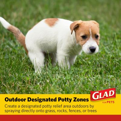 Show full view: Glad for Pets Attractant Training Spray for Dogs & Puppies, 16-fl oz bottle slide 7 of 9