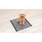 Show in main carousel: Glad for Pets Black Charcoal Puppy Pad, 23" x 23", 100 count slide 4 of 9