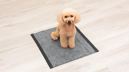 Show full view: Glad for Pets Black Charcoal Puppy Pad, 23" x 23", 100 count slide 4 of 9