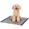 Show in main carousel: Glad for Pets Black Charcoal Puppy Pad, 23" x 23", 100 count slide 6 of 9