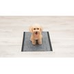 Show in main carousel: Glad for Pets Black Charcoal Puppy Pad, 23" x 23", 50 count slide 4 of 10