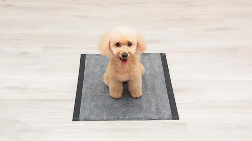 Show full view: Glad for Pets Black Charcoal Puppy Pad, 23" x 23", 50 count slide 4 of 10