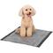 Show in main carousel: Glad for Pets Black Charcoal Puppy Pad, 23" x 23", 50 count slide 6 of 10