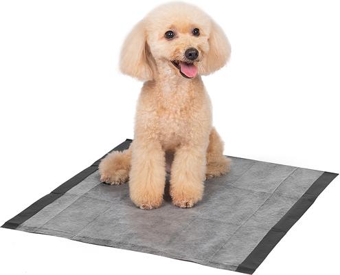 Show full view: Glad for Pets Black Charcoal Puppy Pad, 23" x 23", 50 count slide 6 of 10