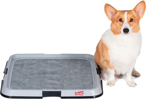 Show full view: Glad for Pets Washable Dog Training Potty Pad Holder slide 6 of 8