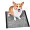 Show in main carousel: Glad for Pets Heavy Duty Activated Carbon Dog Training Pads, 24 x 24-in, 30 count slide 3 of 10