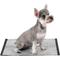 Show in main carousel: Glad for Pets Micro-Defensive Technology Activated Carbon Dog Training Pads, 23 x 23-in, 30 count slide 3 of 10