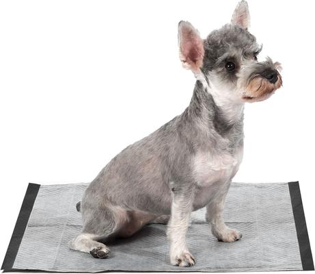 Show full view: Glad for Pets Micro-Defensive Technology Activated Carbon Dog Training Pads, 23 x 23-in, 30 count slide 3 of 10