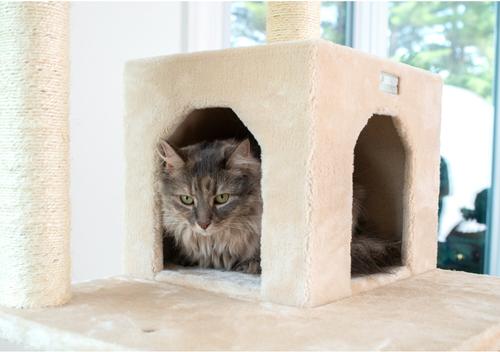 Show full view: GleePet 74-in Faux Fur Cat Tree & Condo, Beige slide 6 of 12