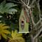Show in main carousel: Glitzhome Distressed Solid Wood Birdhouse, Green slide 4 of 7