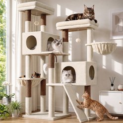 Globlazer 62-in Extra-Wide Plush Condo Cat Tree Tower, Beige