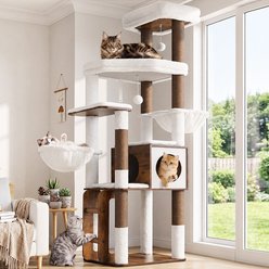 Globlazer Medium Wood 70-in Plush Condo Cat Tree, Dark Wood