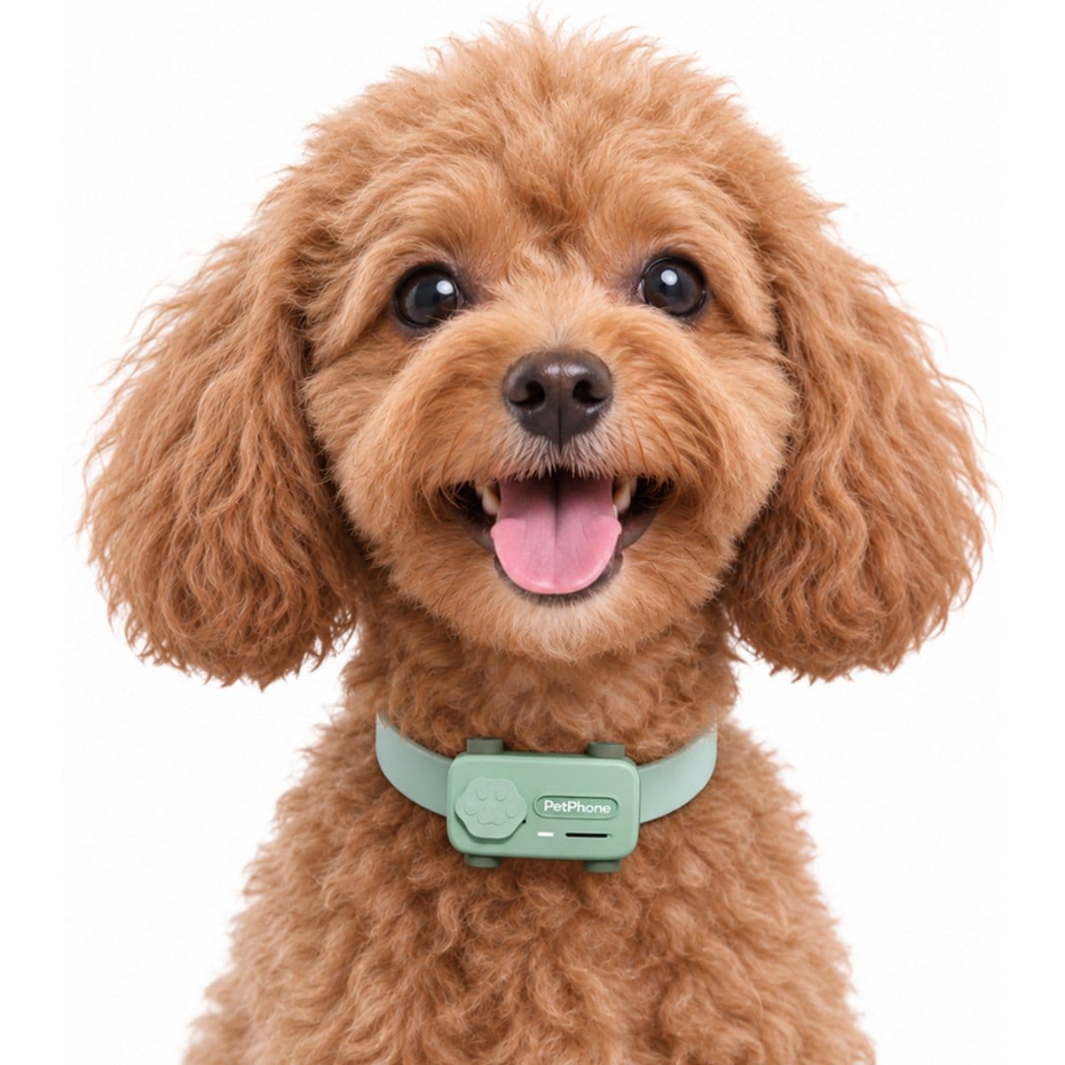 petpogo PetPhone 2-Way Call & Care GPS Tracking for Dogs & Cats with 1-year plan, Green