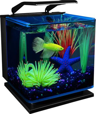Show full view: GloFish Anemone Aquarium Ornament, Green slide 6 of 9