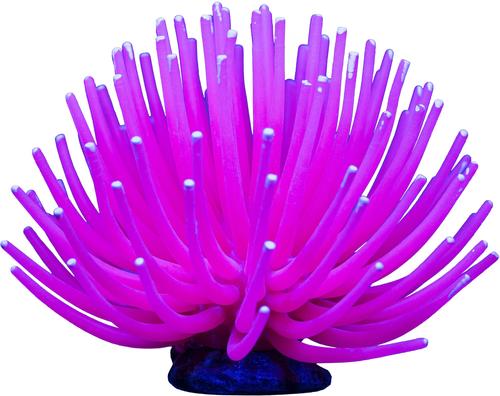 Show full view: GloFish Anemone Aquarium Ornament, Pink slide 2 of 8