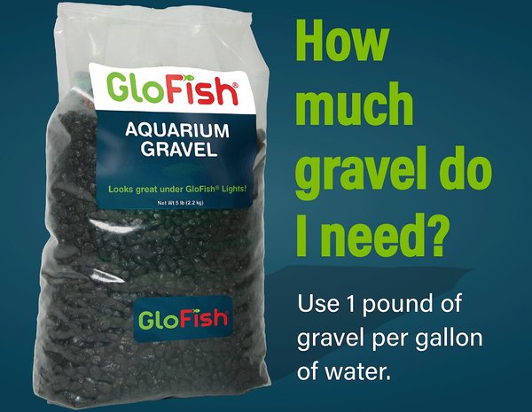 Show full view: GloFish Aquarium Fish Gravel, Black, 5-lb slide 4 of 7