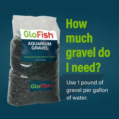 Show full view: GloFish Aquarium Fish Gravel, Black, 5-lb slide 4 of 7
