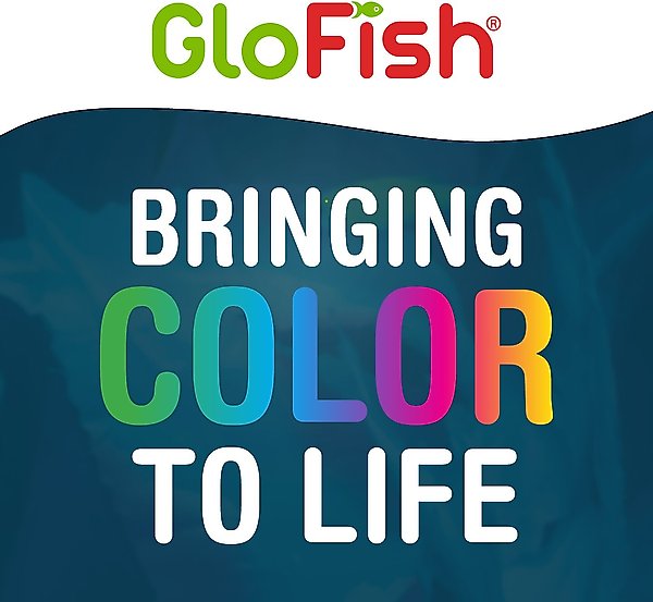 Show full view: GloFish Aquarium Fish Gravel, Black, 5-lb slide 7 of 7