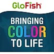 Show in main carousel: GloFish Aquarium Fish Gravel, Black, 5-lb slide 7 of 7
