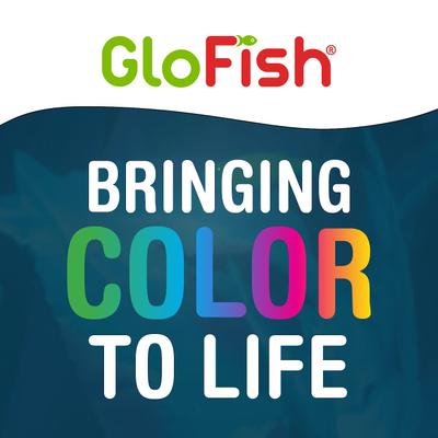 Show full view: GloFish Aquarium Fish Gravel, Black, 5-lb slide 7 of 7