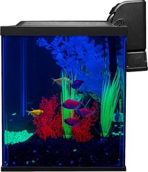 GloFish Aquarium Kit, 10-gal slide 2 of 3